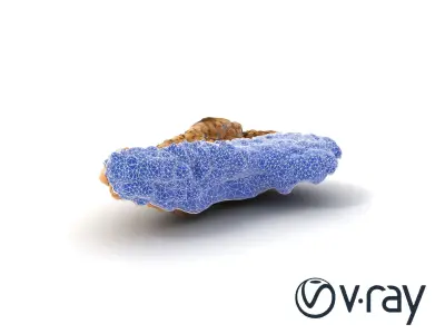 Natural Stalagmite Rock Formation model pack Low-poly 3D model