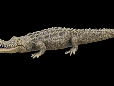 crocodile 3d model 3D model purchase
