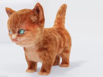 Hair Fur Cute Cat kitten No Rig Low-poly 3D model