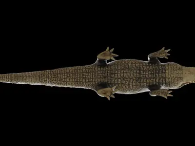crocodile 3d model 3D model purchase