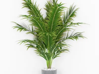 Plants collection 03