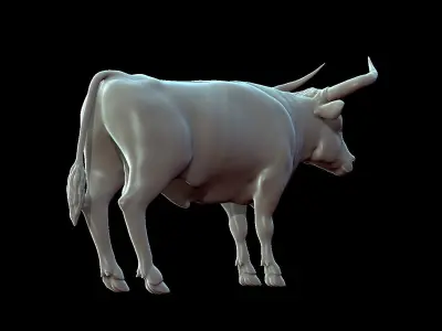 Bull Aurochs Highpoly Model 3D model