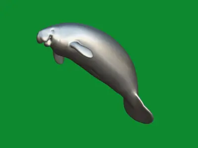 Manatee Low-poly 3D model