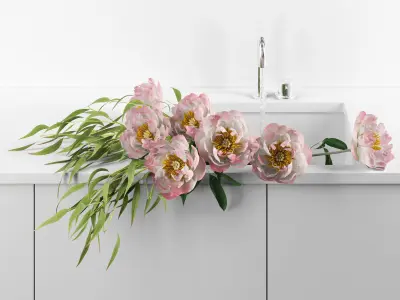 Peonies in sink 3D model