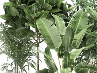 Houseplants in a rust flowerpot for the interior 978 3D model