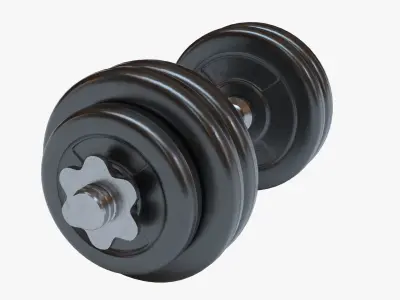 Dumbbell pair of dumbbells 3D model get
