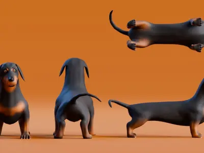 Low poly - Stylized dog - Sausage Dog Low-poly 3D model