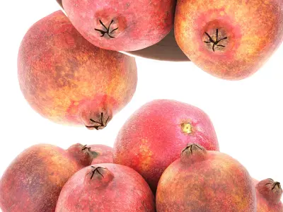 bowl of pomegranate fruit 3D model