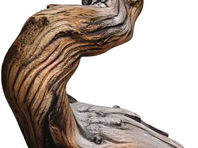 Decorative Old Twisted Weathered Tree with Gnarled Branches 3D model