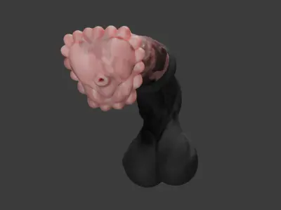 Anatomy Horse Rigged Penis Highpoly and Lowpoly Low-poly 3D model