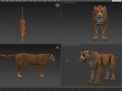 Cougar  - Panther - Jaguar - Leopard - Mountain Lion Low-poly 3D model