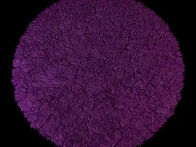 Carpet seven color 3D model