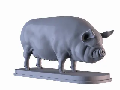 Middle White Pig 3D print model