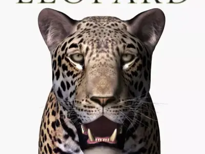 Realistic Leopard no fur - 3d model 3D model