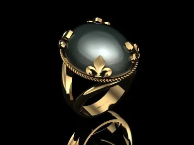 Women Ring 3D print model 38