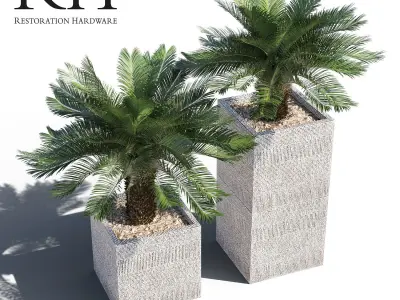 Artificial Cycas Palm in RH pot 3D model