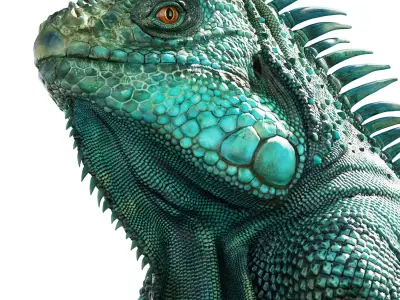 Iguana on a rock 3D model