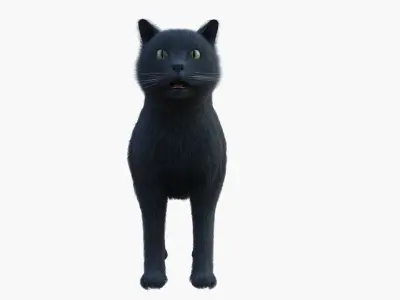 British CAT Low-poly 3D model
