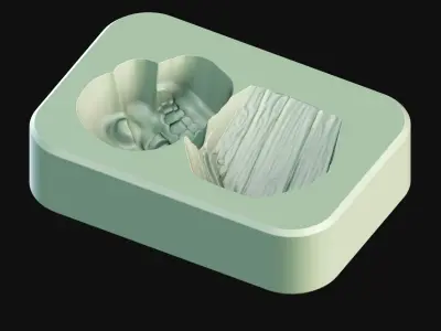 Halloween - Skull with Coffin 3D Printable Chocolate Mold  3D print model