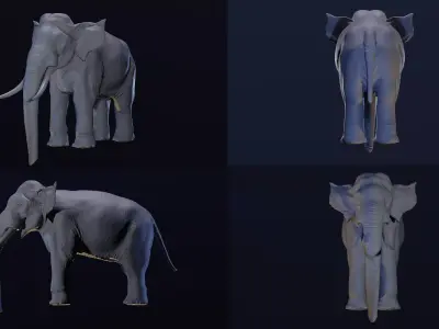 Realistic 3D Elephant with Tusks 3D model