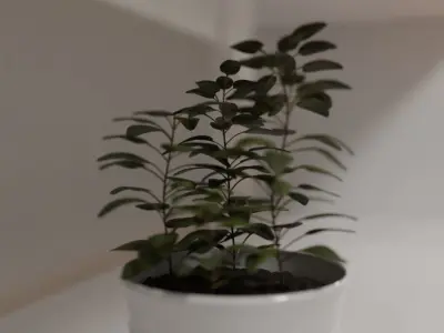 Pot plant 3D model