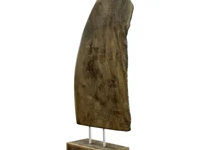 Wooden Wing Sculpture Low-poly 3D model