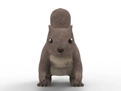 Squirrel 3D model get