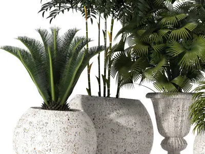 Plants 289 3D model