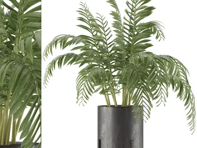 House Plant 38 3D model