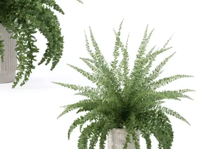 Fern in modern flower pot 3D model