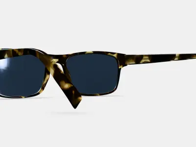 Perkins Sunglasses in Burnt Honeycomb Tortoise 3D model