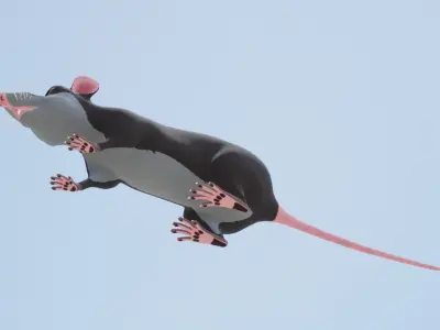 Cartoon Rat Low-poly 3D model