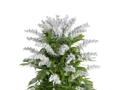 Spring Flower Vase 3D model