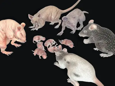 Rats Complete Pack Low-poly 3D model
