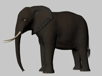 Rigged-Animated Elephant 3D model