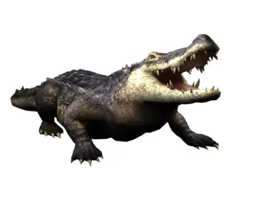 Animated Rigged Crocodile 3D model