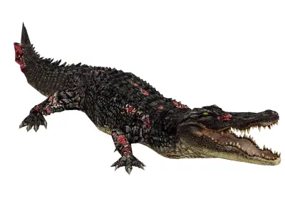 Animated Injured Alligator Rigged Low-poly 3D model