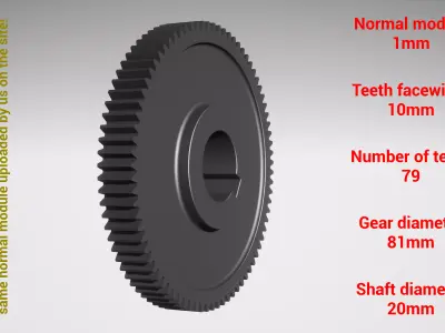 Cylindrical gear - paired - z79 m1 D81 d20 3D print model