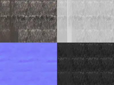 Dry Dill flower 3D model