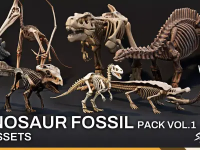 Dinosaur Fossil Pack VOL1 Low-poly 3D model