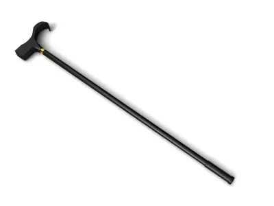 walking stick 3D model