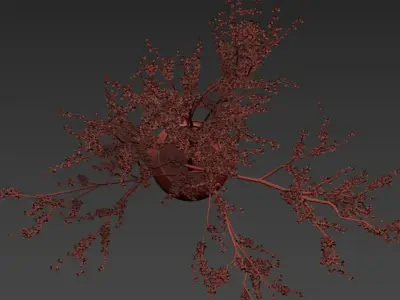 Flower In Vase   24 3D model