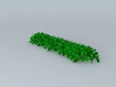 Plant ivy Free 3D model