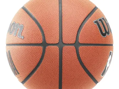 wilson and spalding basketball 3D model