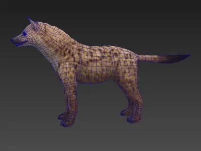 Hyaenidae hyena Low-poly 3D model