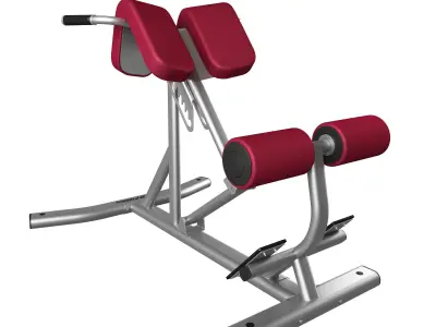 Lifefitness Signature Series Back Extension 3D model