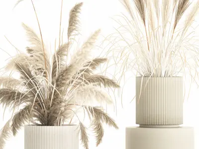 Beautiful bushes pampas grass for decoration in pots 1289 3D model