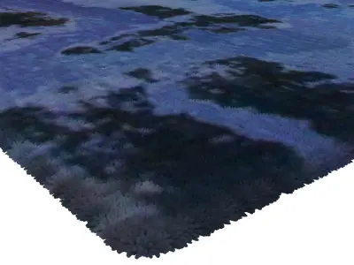 Rug Set 1895 3D model
