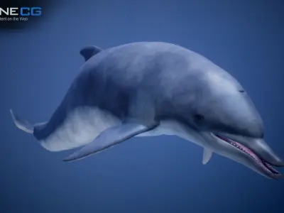 Animated Dolphin Unity Low-poly 3D model