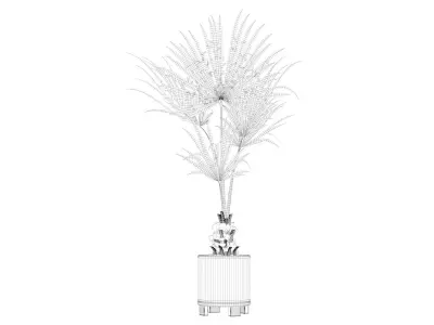 Washingtonia filifera palm in terrazio flowerpot 3D model